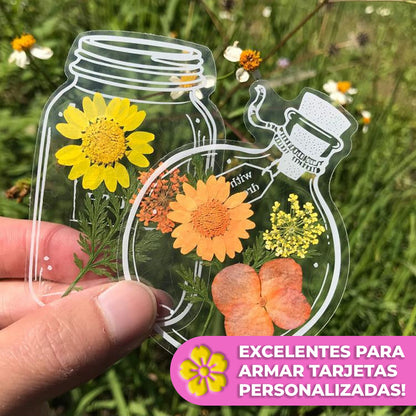 EverBloom™ - Postales para preservar flores y hojas