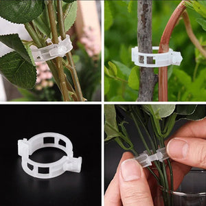 GrowGuard™ - Clips de soporte para plantas