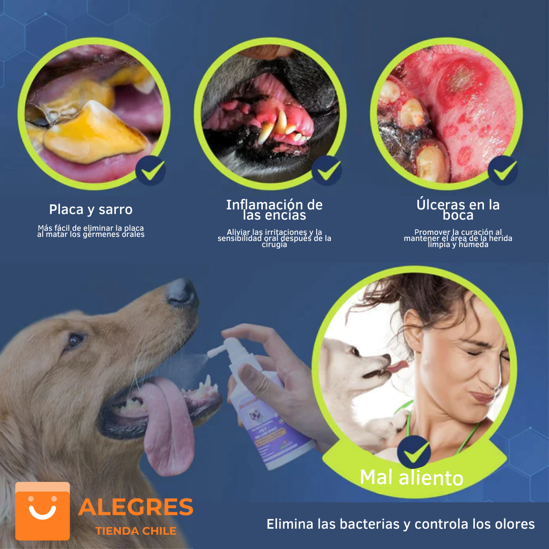 PetClean™ - Aerosol 100 % Natural para el cuidado bucal de perros y gatos