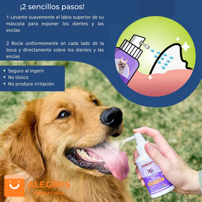 PetClean™ - Aerosol 100 % Natural para el cuidado bucal de perros y gatos