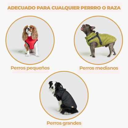 WinterPaws™ - Abrigo invernal para perros