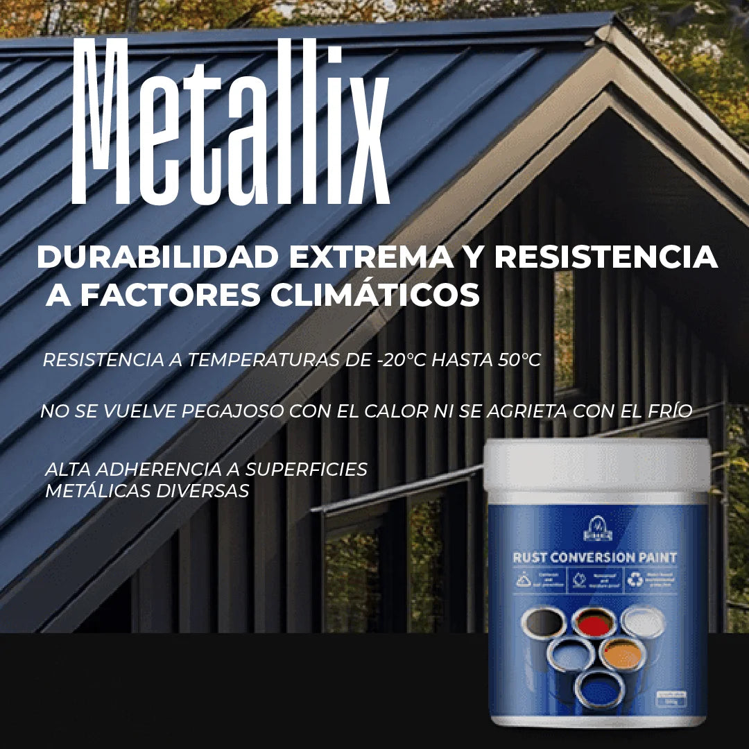 Metallix™ - Pintura anti Oxido