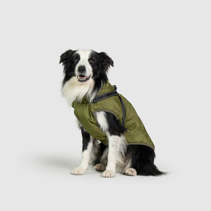 WinterPaws™ - Abrigo invernal para perros