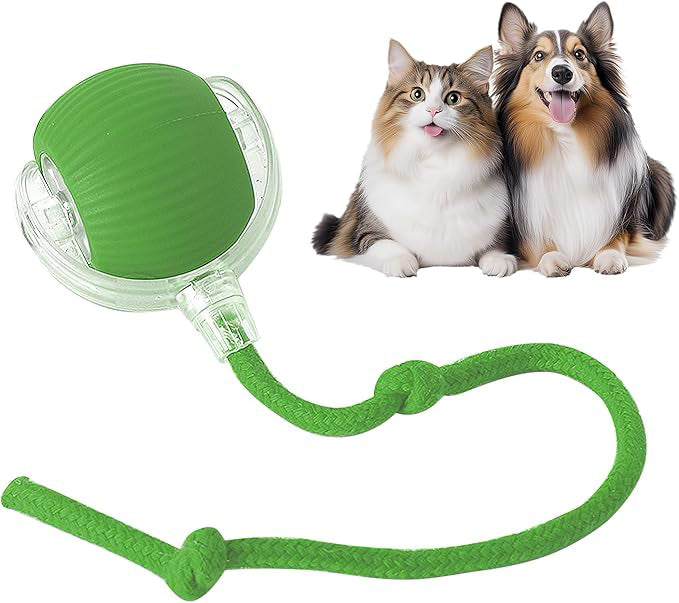 SpinPet™ - Juguete interactivo para gatos